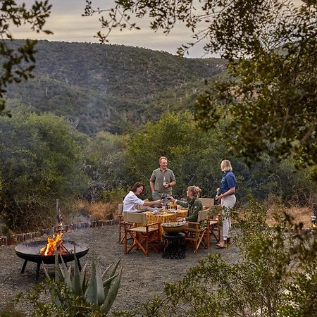 Kwandwe Private Game Reserve - Melton Manor グラハムズタウン エクステリア 写真